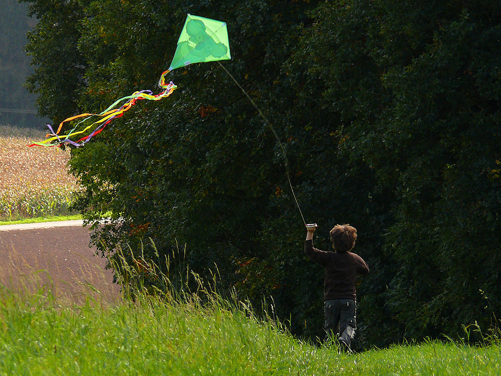 Herbstzeit - Drachenzeit