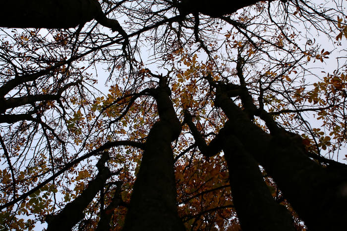 Herbstzeit, dunkle Zeit