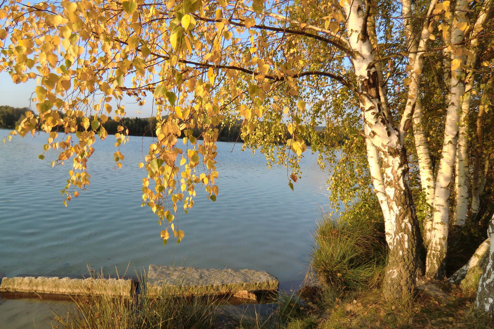 Herbstzeit