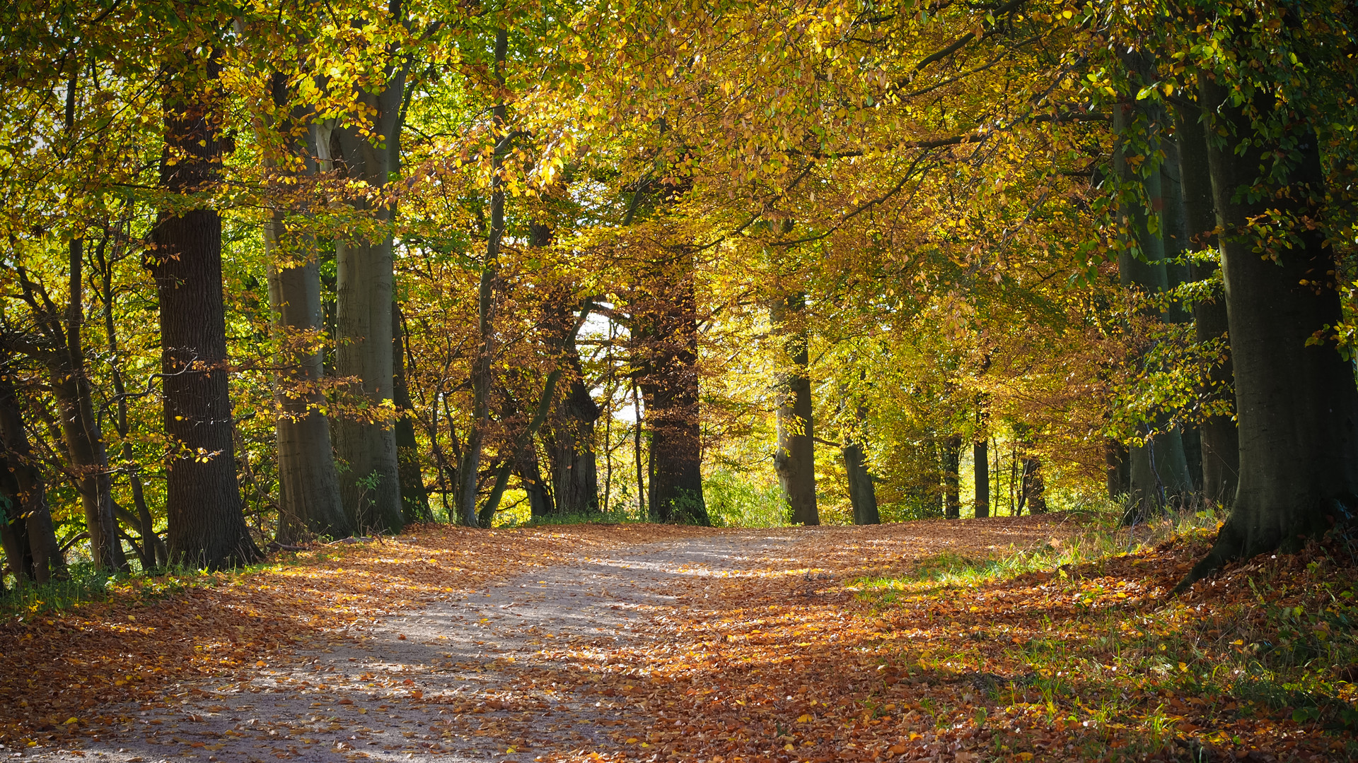 Herbstzeit