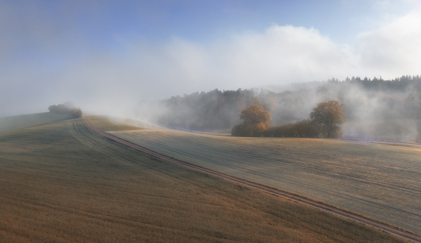 Herbstzeit 