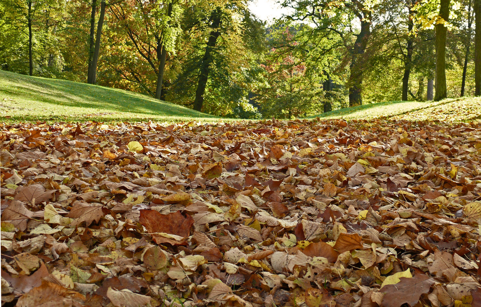 Herbstzeit