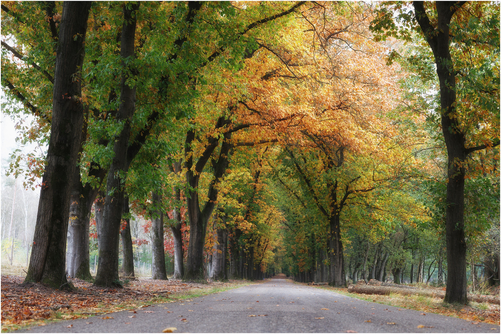 Herbstzeit