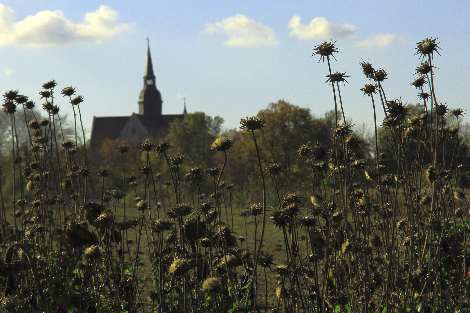 Herbstzeit