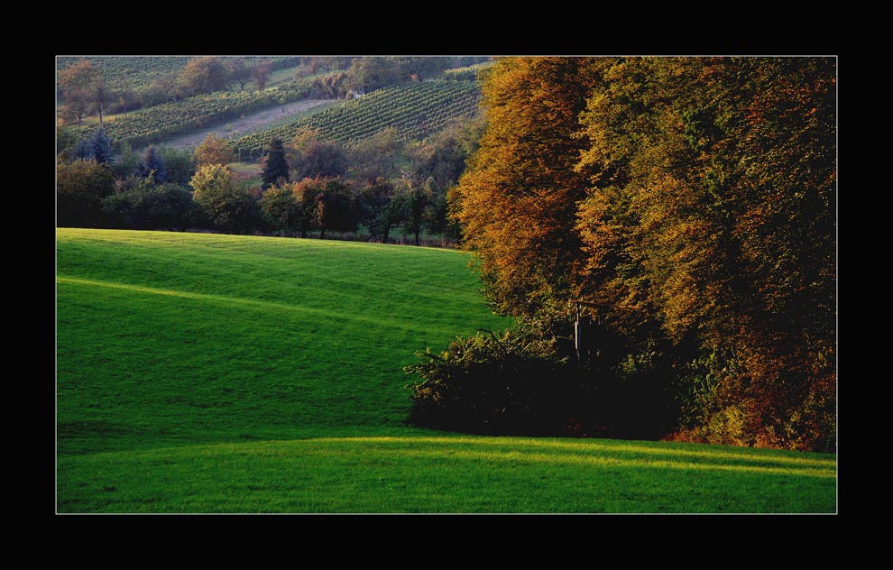 Herbstzeit