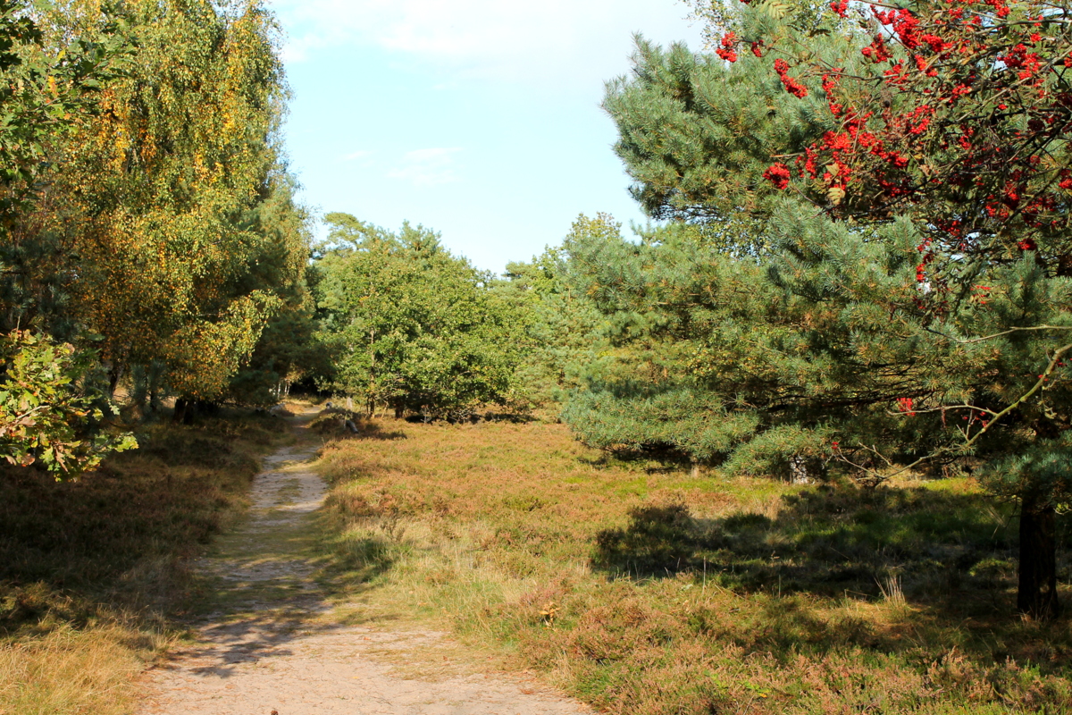 Herbstzeit