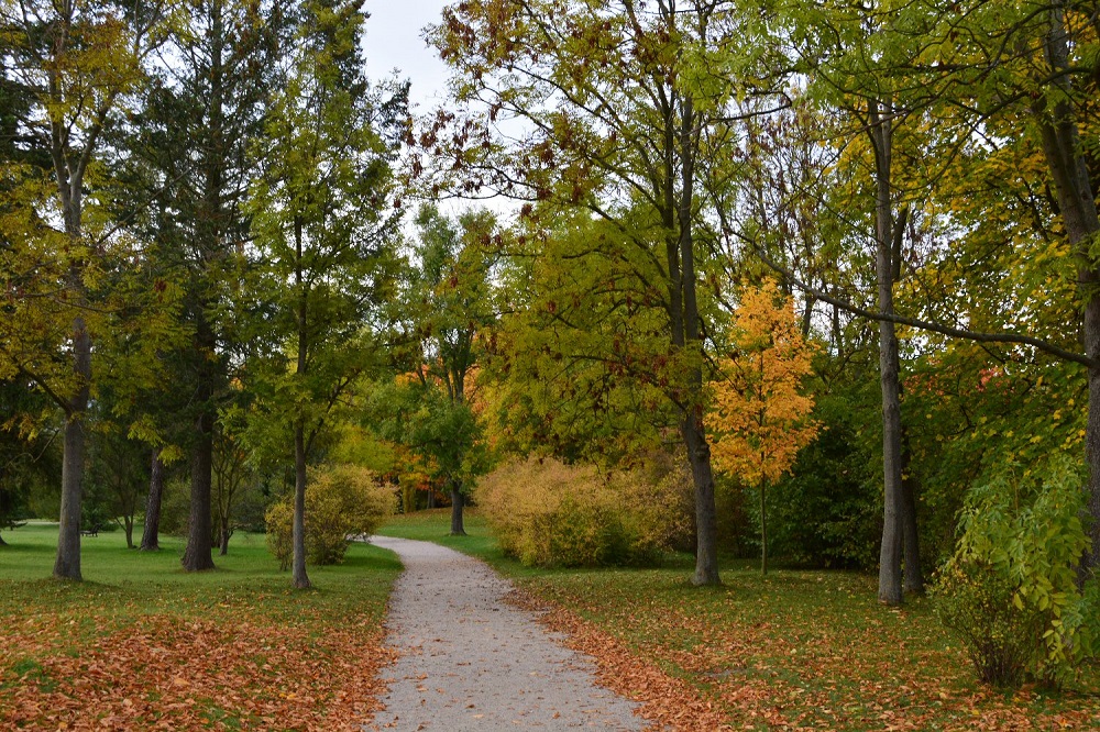 Herbstzeit