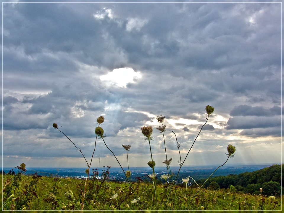 Herbstzeit, ein letztes Aufbäumen