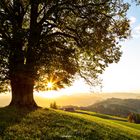 HERBSTZEIT EMMENTAL 2022