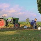 Herbstzeit - Erntezeit