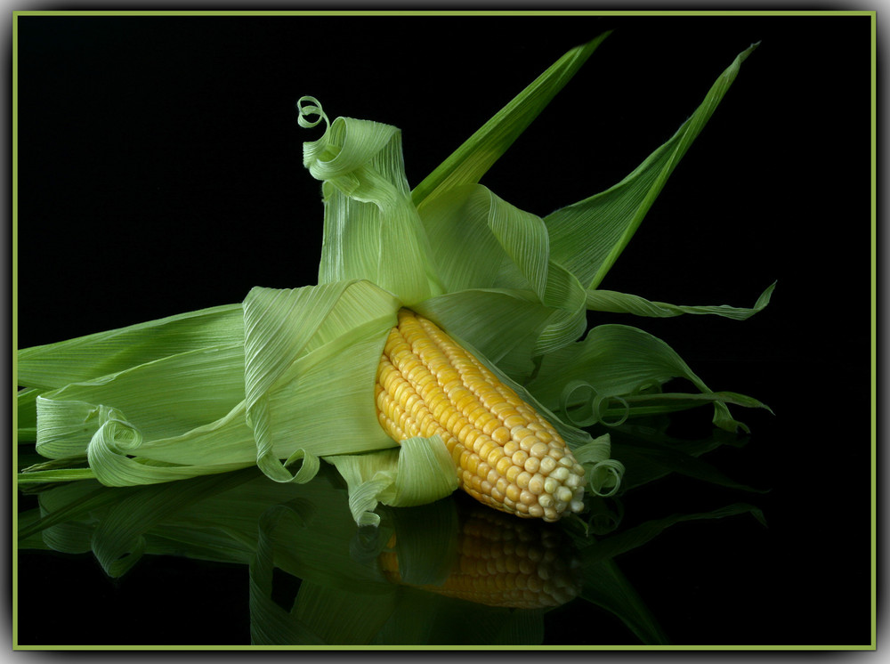 Herbstzeit Erntezeit