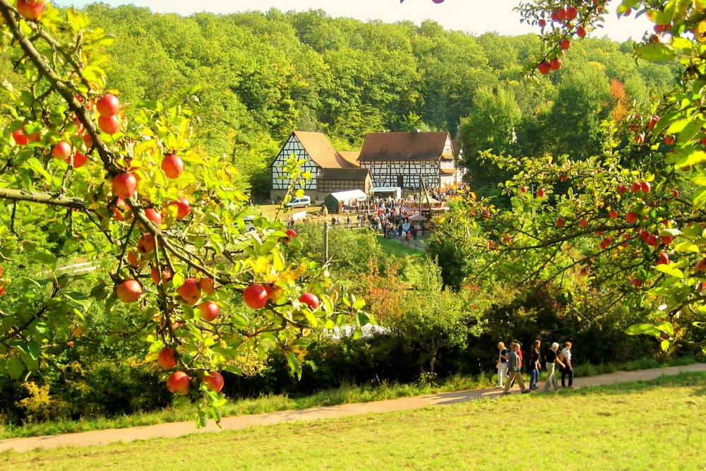 Herbstzeit, Erntezeit!