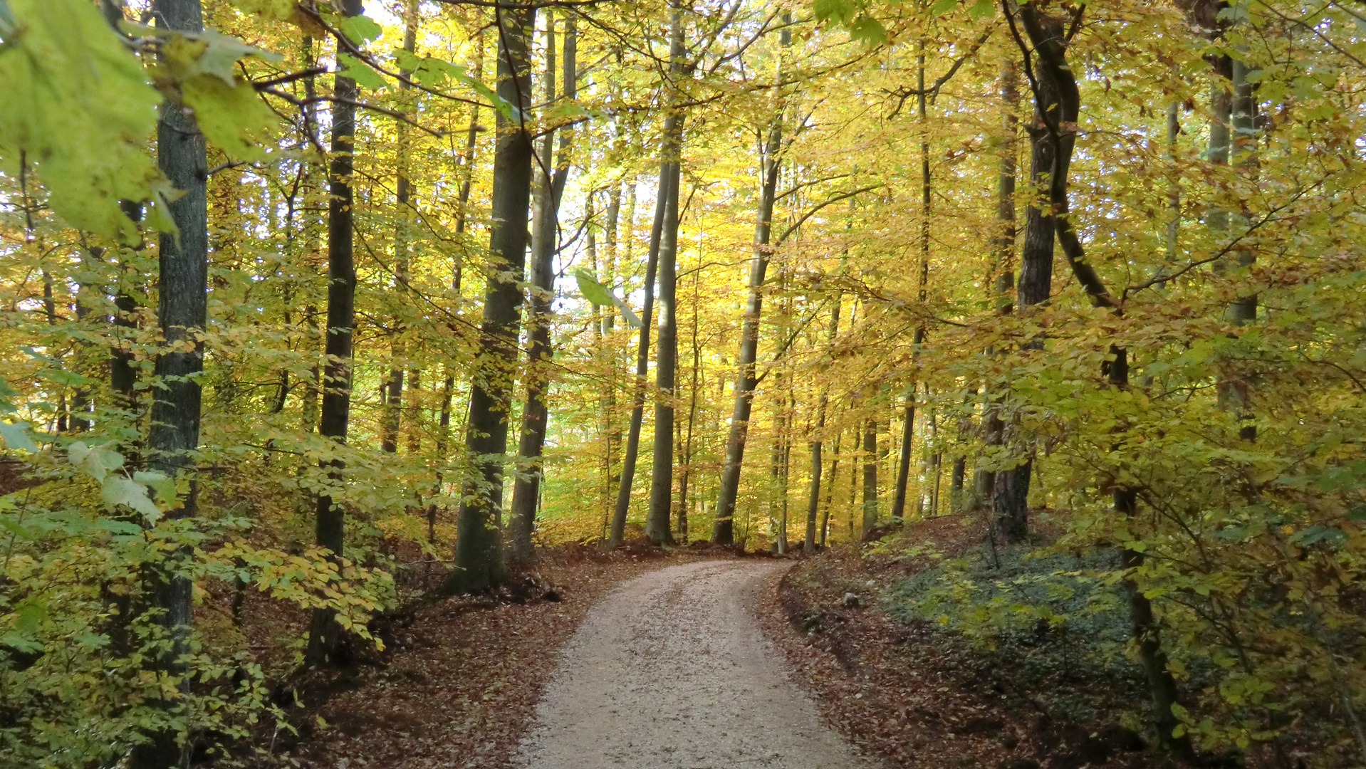 Herbstzeit