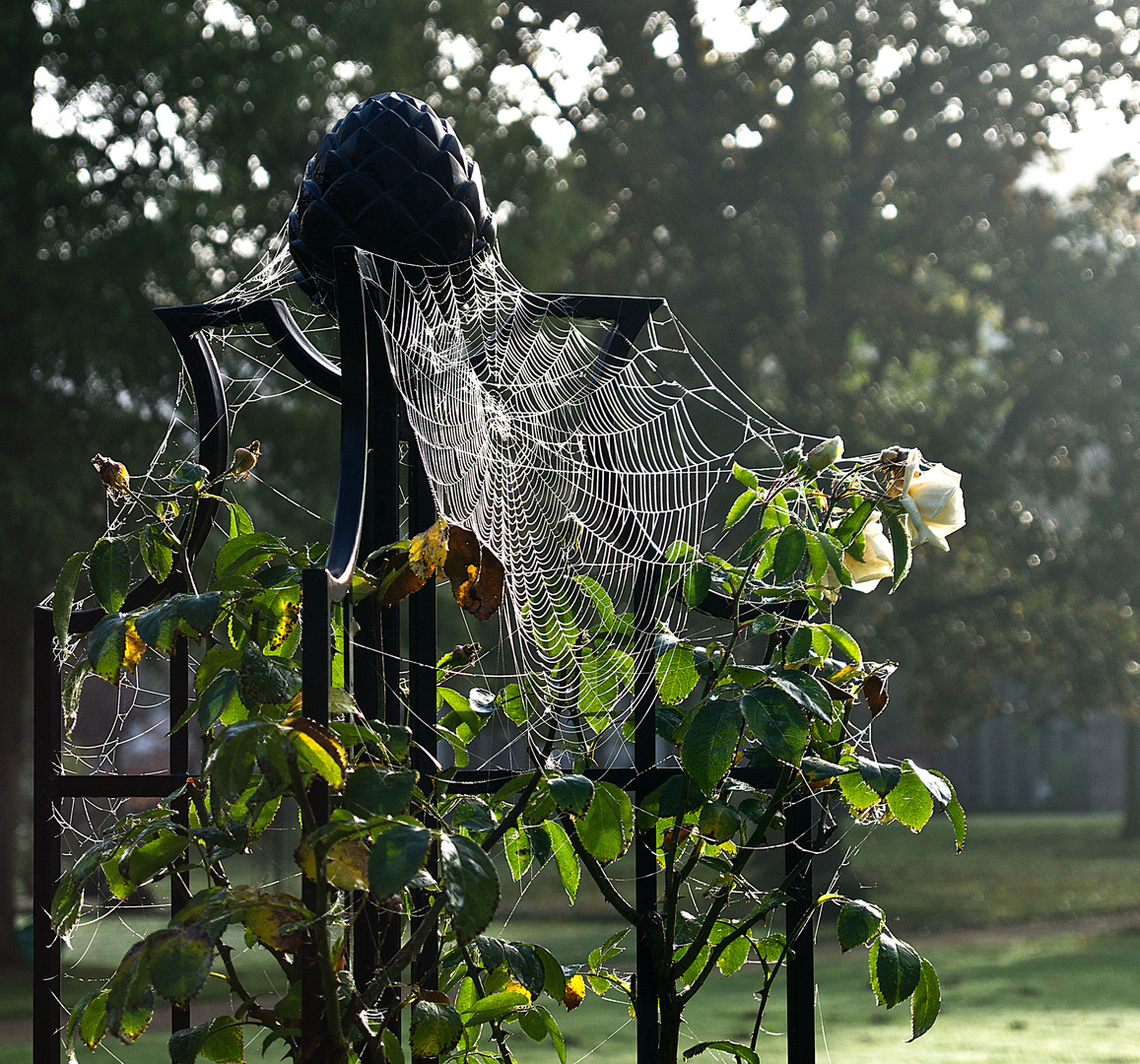 Herbstzeit