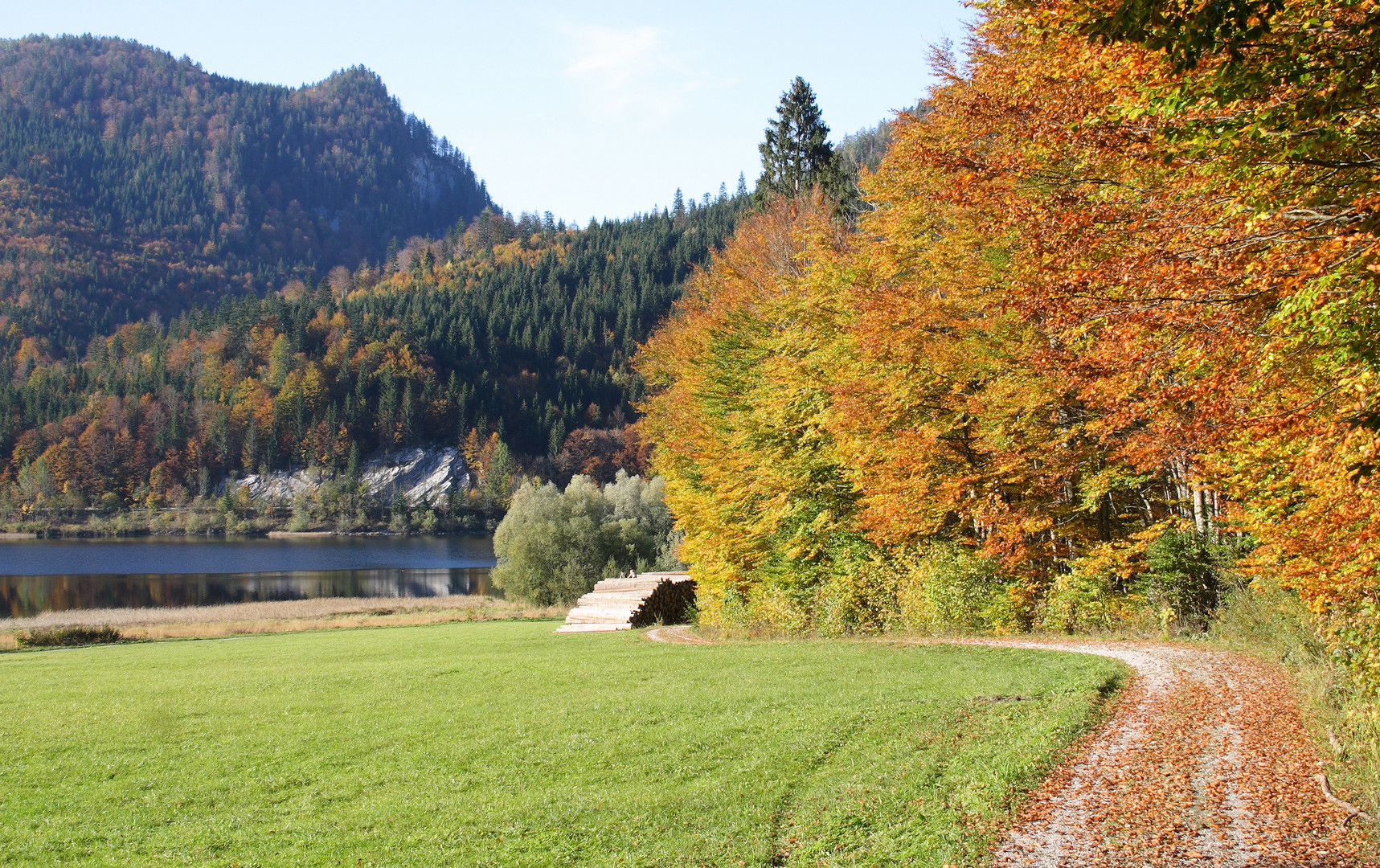 Herbstzeit