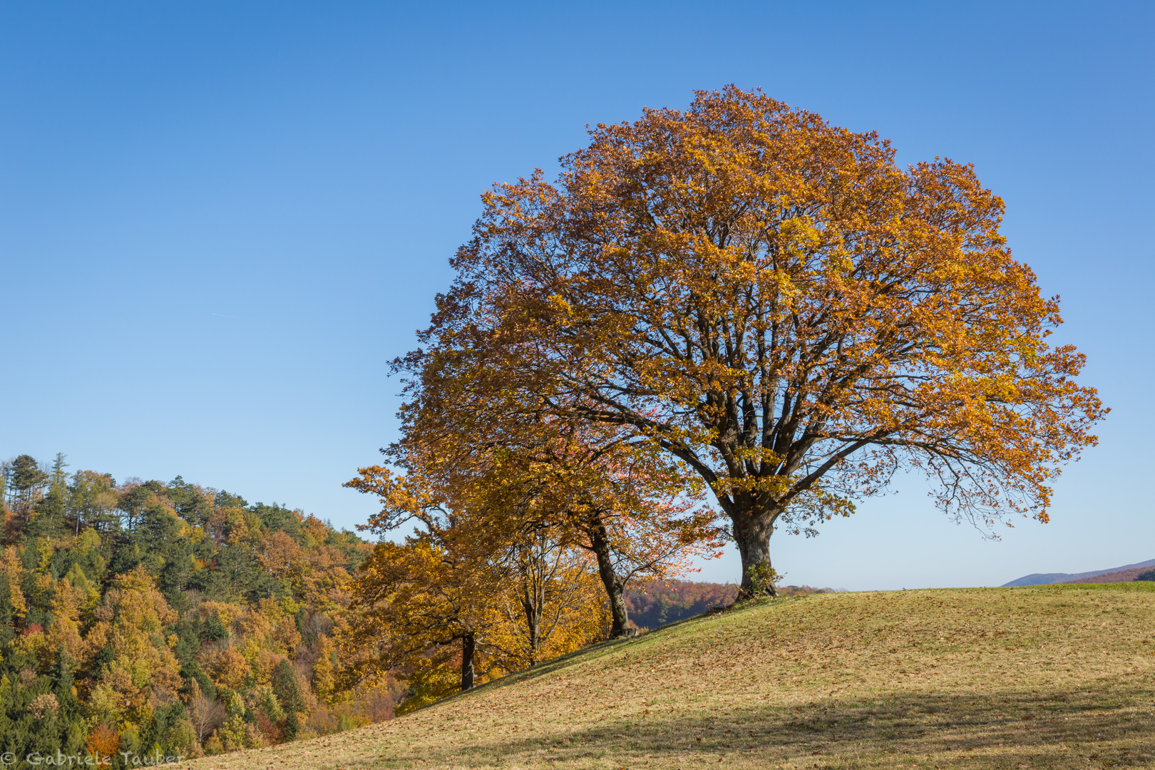 Herbstzeit