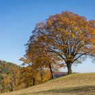 Herbstzeit