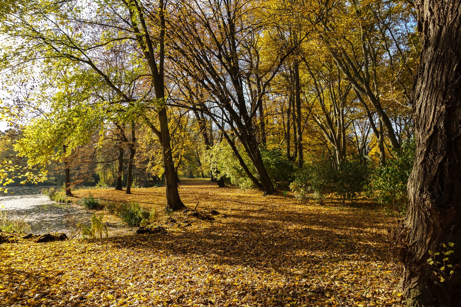 Herbstzeit