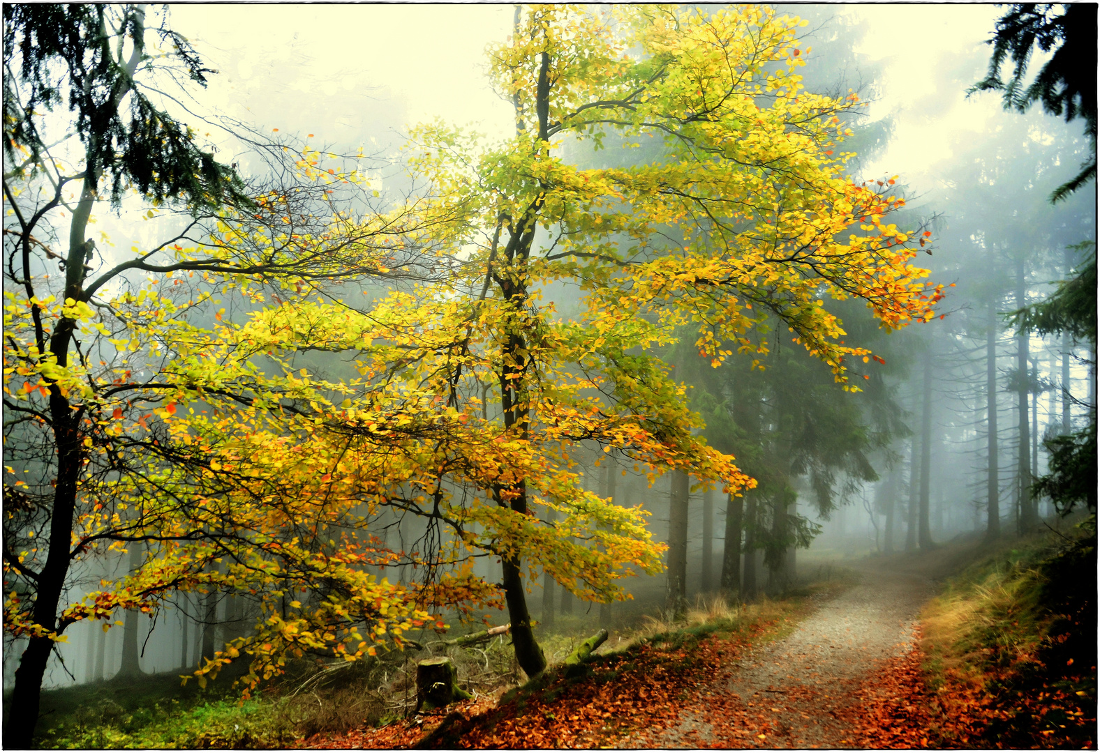 Herbstzeit, Farbenzeit