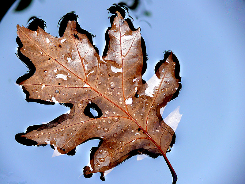 Herbstzeit