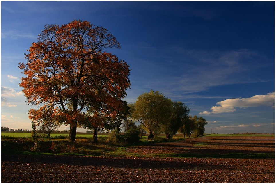 Herbstzeit