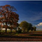 Herbstzeit