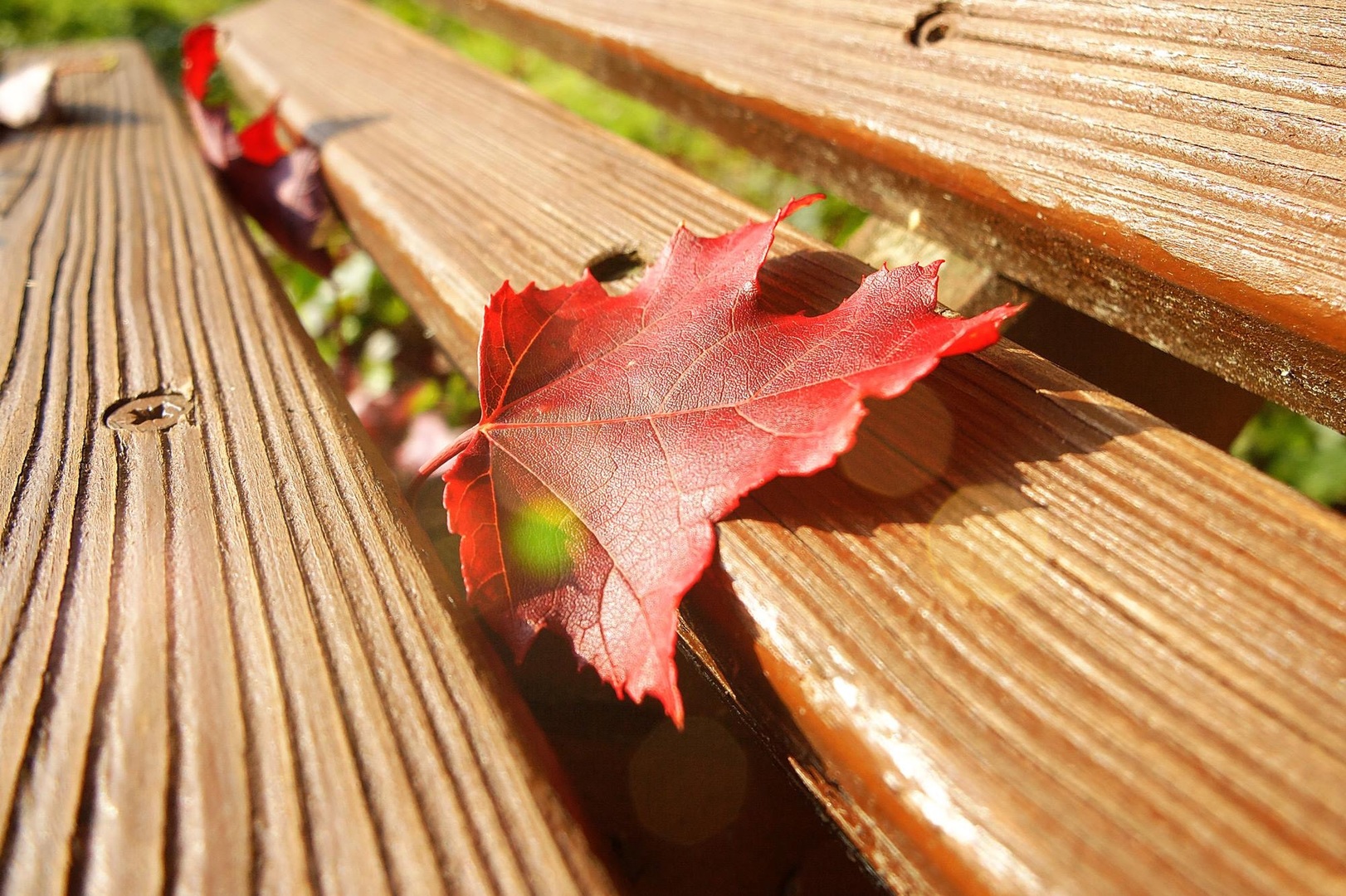 Herbstzeit