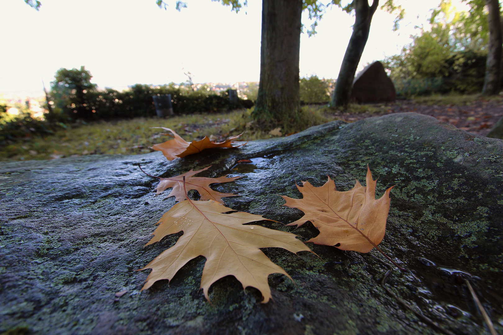 Herbstzeit