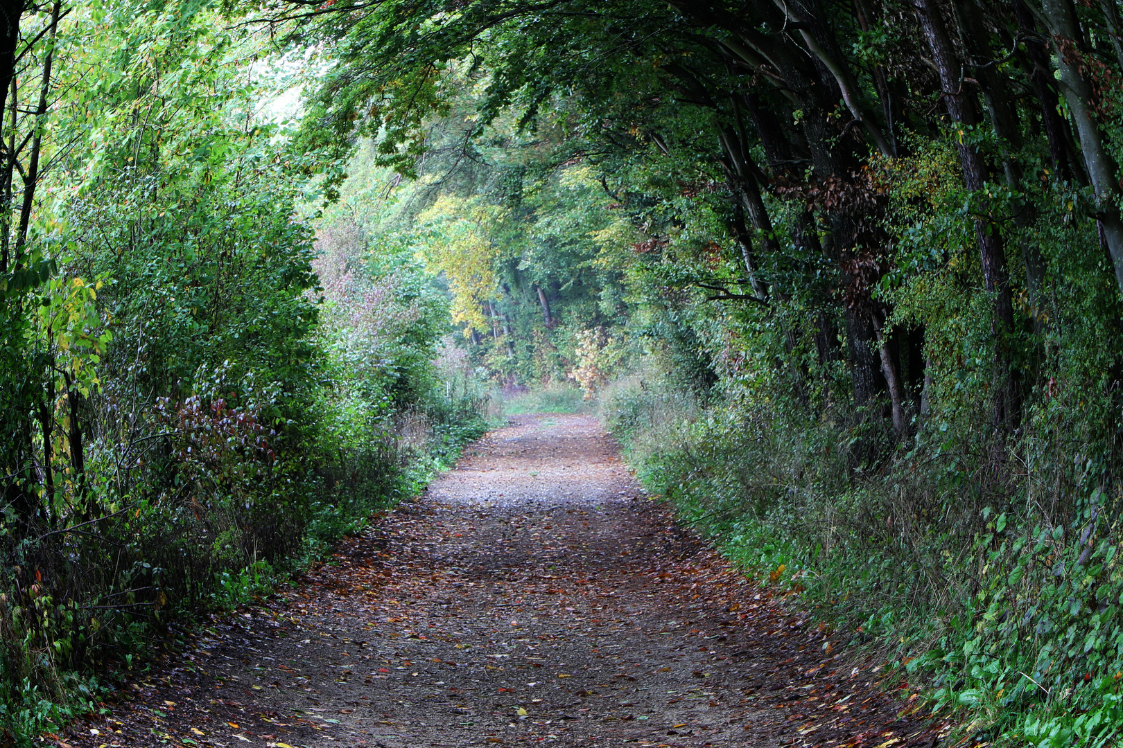 Herbstzeit