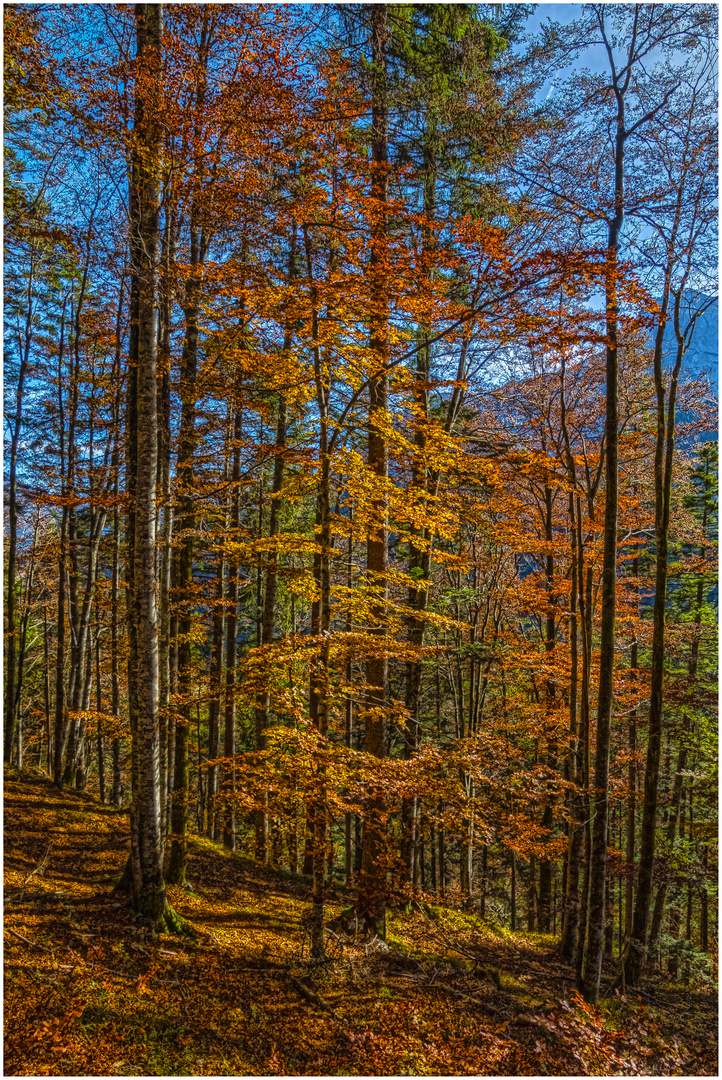 Herbstzeit