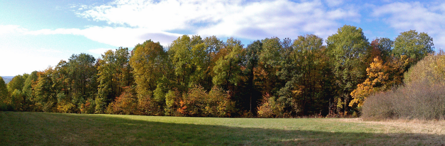 Herbstzeit = Gartenaufräumzeit !