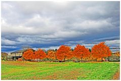 Herbstzeit II