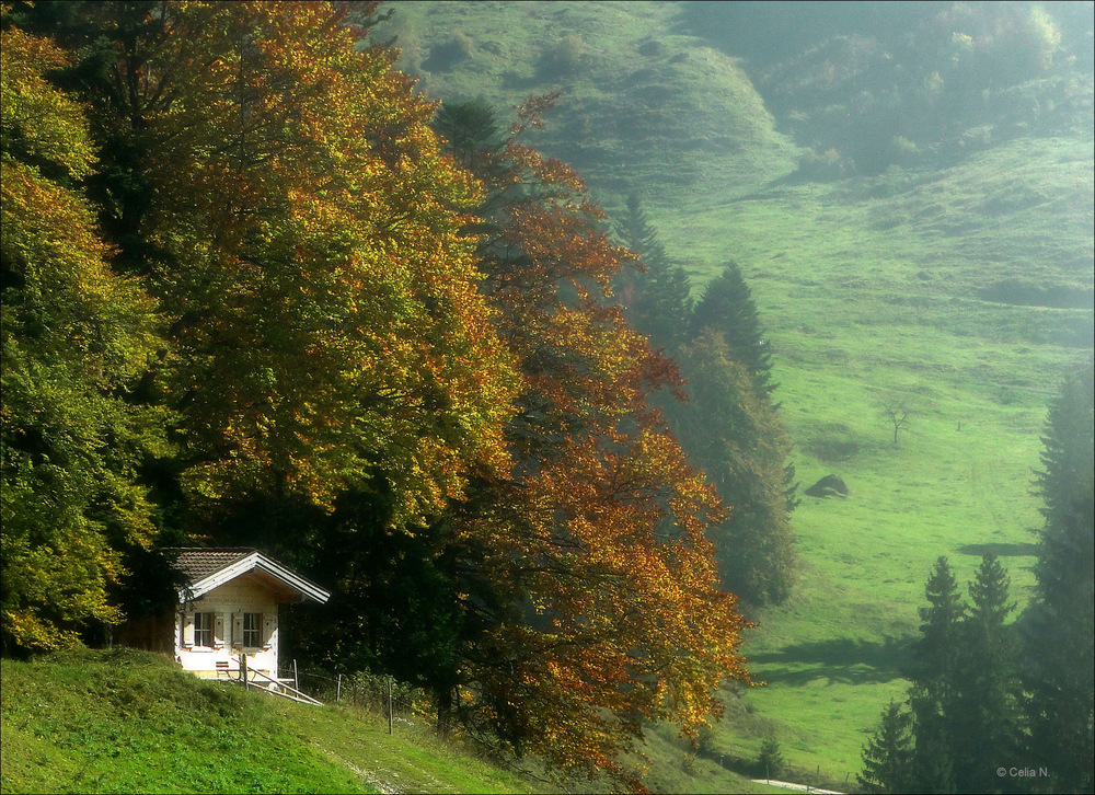 Herbstzeit II