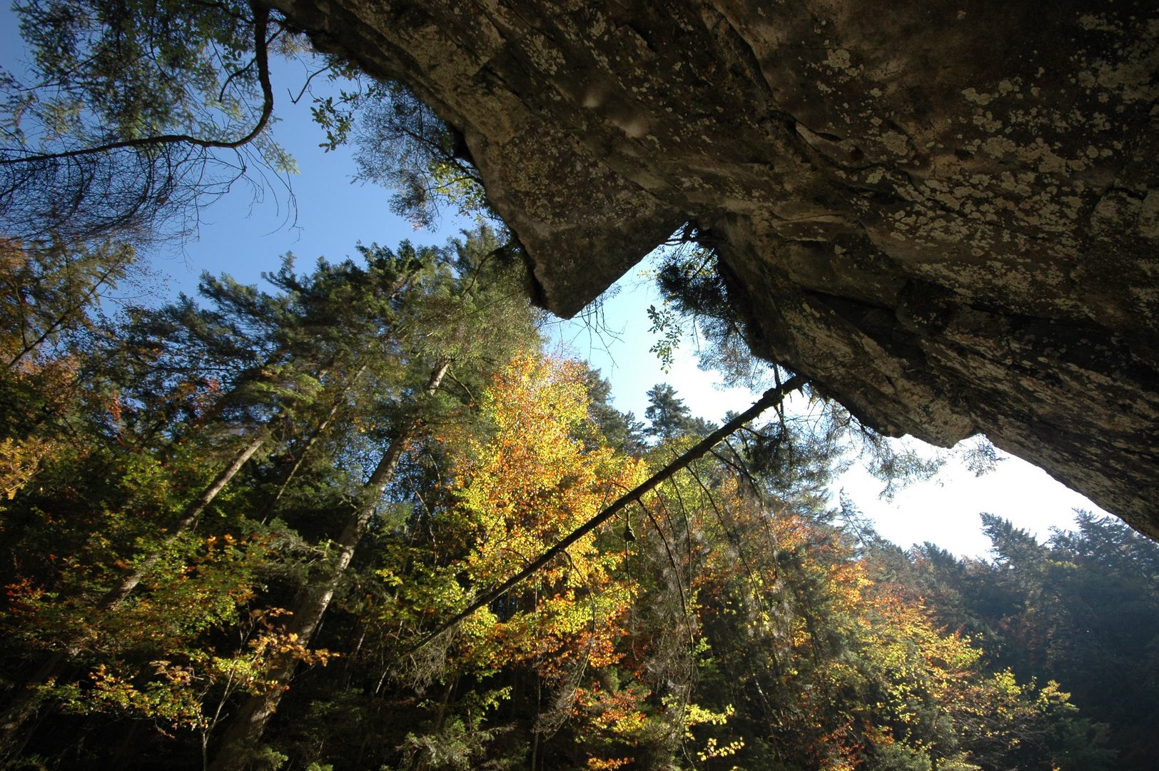 Herbstzeit im Allgäu