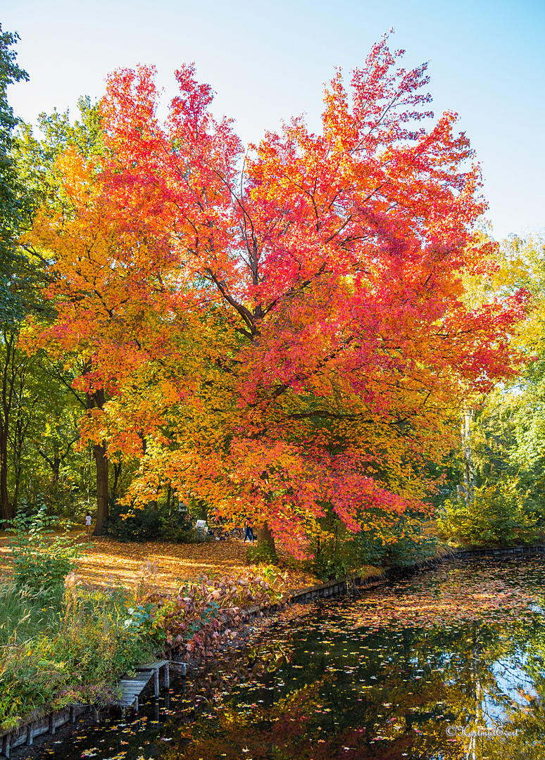 Herbstzeit im Berliner Tiergarten / 2