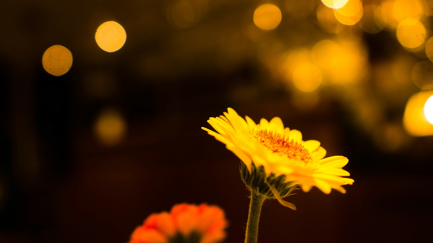 Herbstzeit im Café