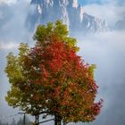 Herbstzeit im Grödnertal