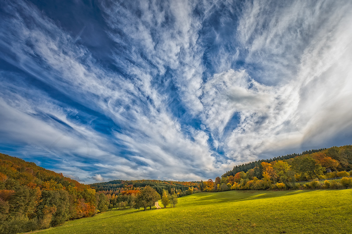 Herbstzeit im Hochwald 