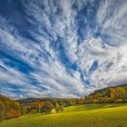 Herbstzeit im Hochwald 