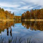 Herbstzeit im Müritz-Nationalpark