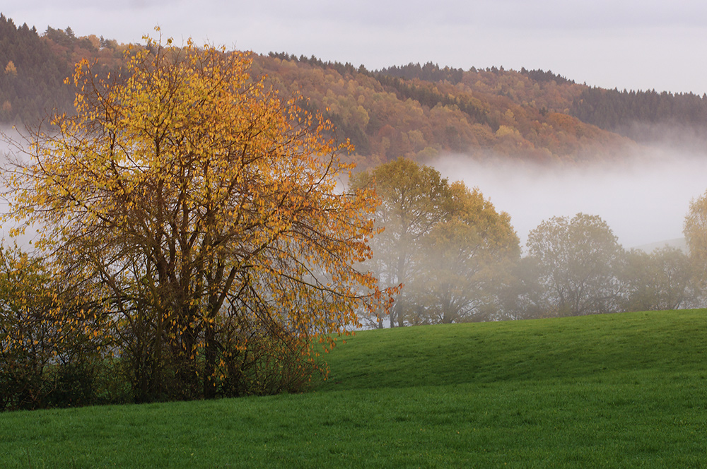 Herbstzeit im Oberbergischen