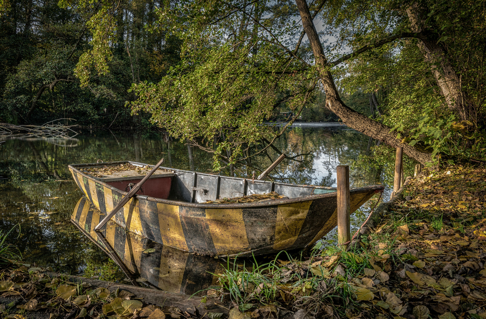 Herbstzeit im Vluynbusch