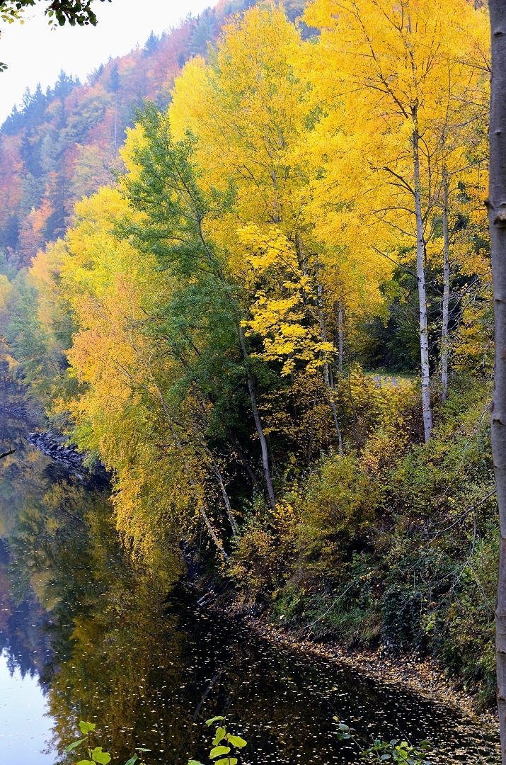 herbstzeit im waldviertel