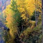 herbstzeit im waldviertel