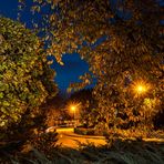 Herbstzeit in den Tarthuner Straßen