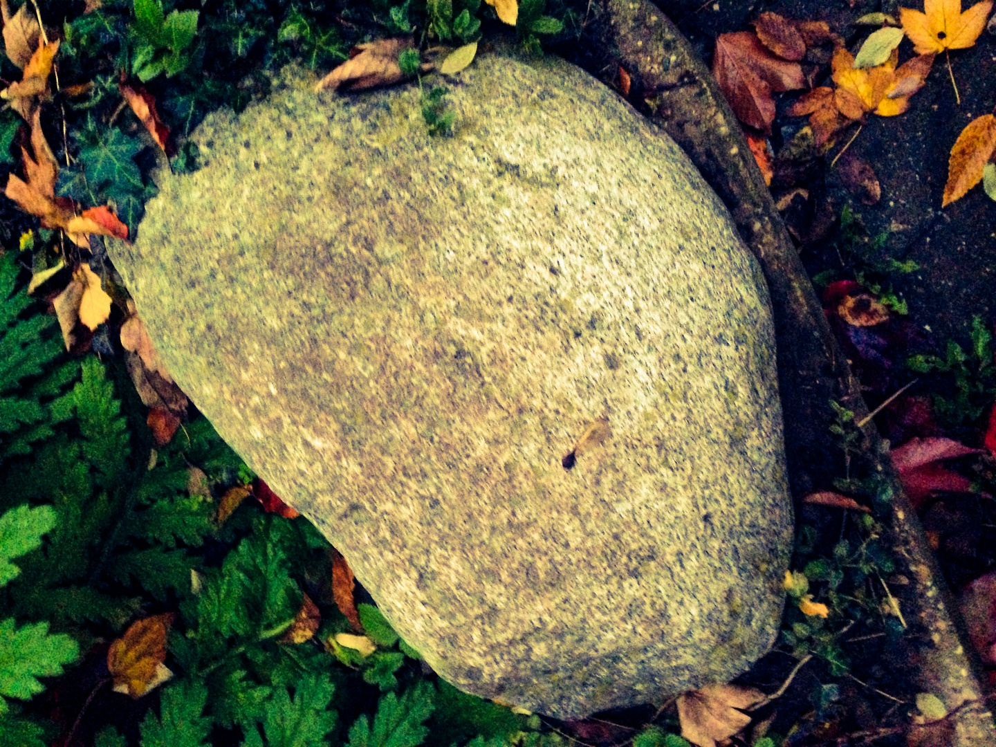 Herbstzeit in der Natur