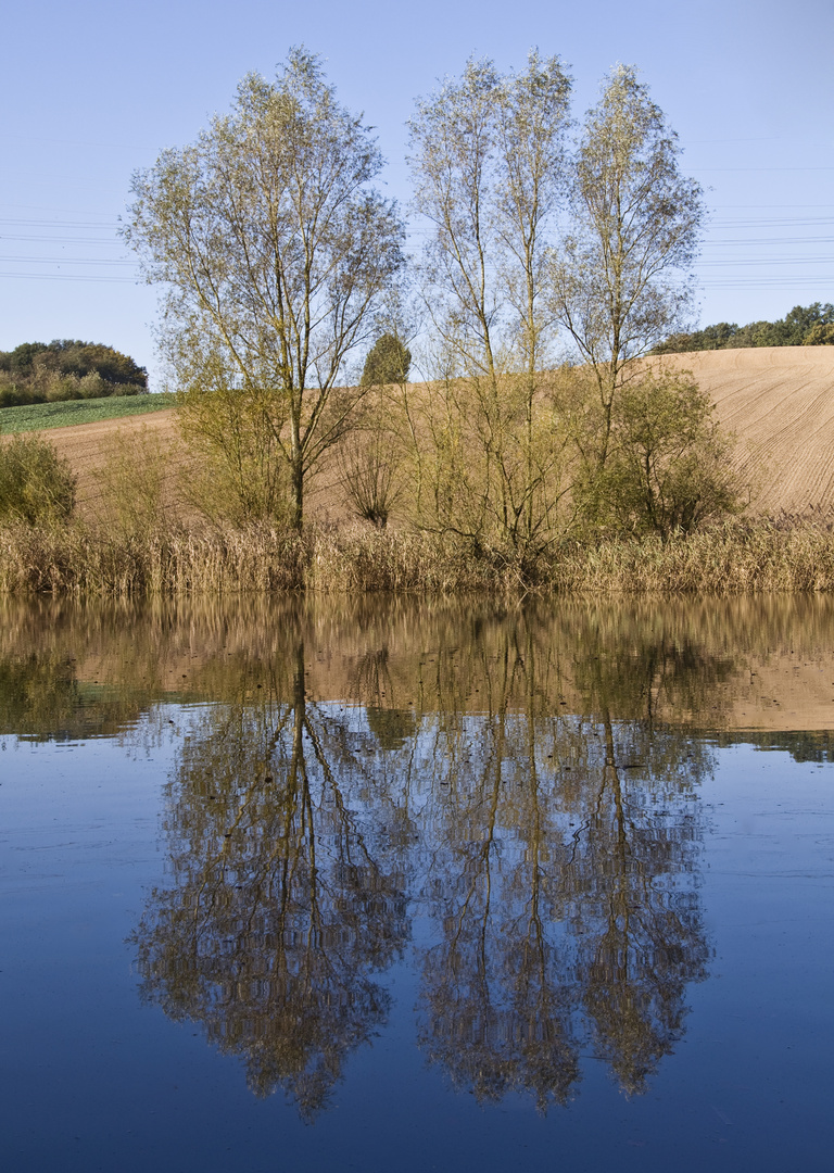 Herbstzeit in Erkrath