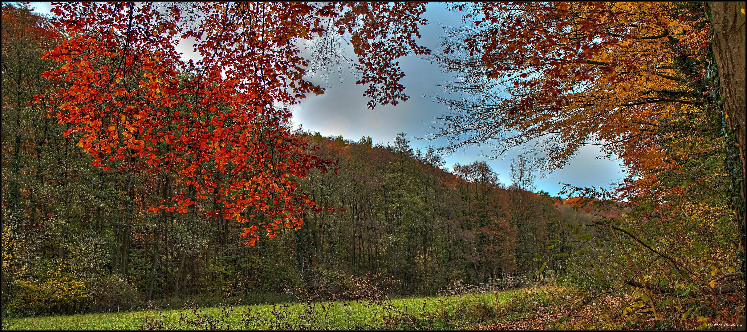 Herbstzeit in HDR