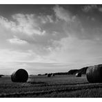 Herbstzeit ist Erntezeit