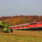 Herbstzeit ist Erntezeit